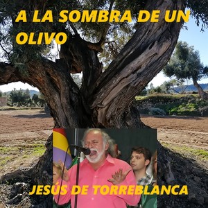 A la Sombra de un Olivo