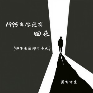 1995年你没有回来(回不去的那个冬天)