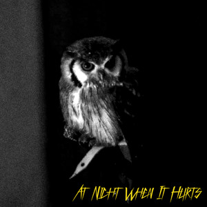 At Night When It Hurts (Night Birds)