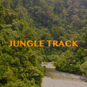 Jungle Track (feat. Ray Denz)