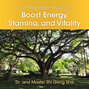 Dr. - Tao Meditation Music to Boost Energy, Stamina, and Vitality