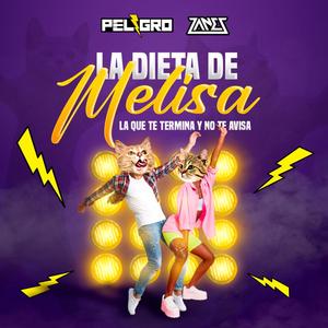 Dieta de melisa la que te termina y no te avisa