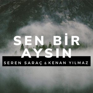 Sen Bir Aysın