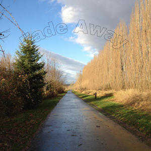 Never Enough-Alex Pantelias