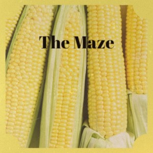 The Maze