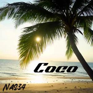 Coco (Explicit)