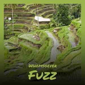 Whomsoever Fuzz