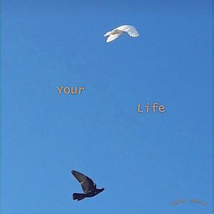 Your Life