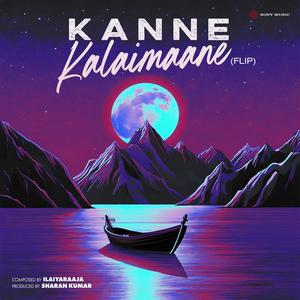 Kanne Kalaimaane (Flip)