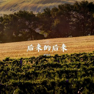 后来的后来-林嘉怡