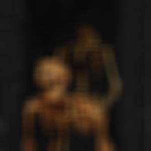 Wastelander Intercourse (Explicit)