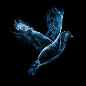 K Lil Bird._. (Explicit)