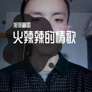 火辣辣的情歌
