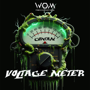 Voltage Meter
