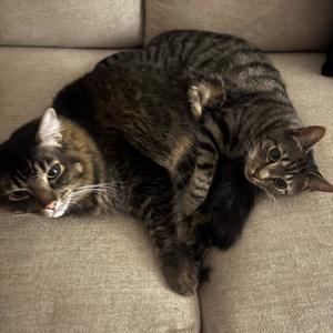 ion wanna do this anymore (Acoustic)