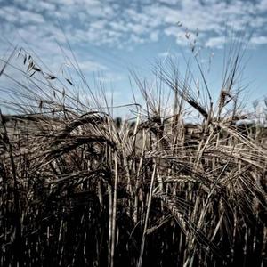 Why Do You Love (feat. Gaz Twist)