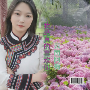 我是真的喜欢你  伴奏