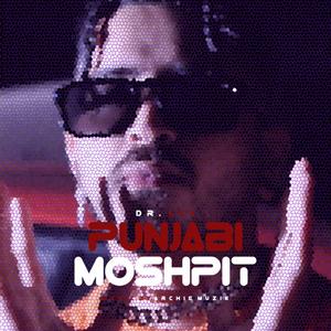 Punjabi moshpit