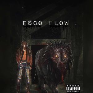 Esko Flow (Explicit)