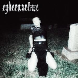 cyberwarfare (Explicit)