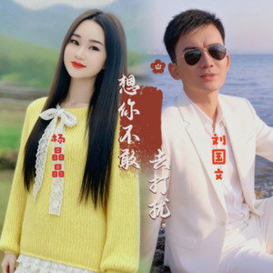 想你不敢去打扰 (伴奏)