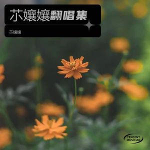 我的唇吻不到我爱的人DJ版 (DJ版)