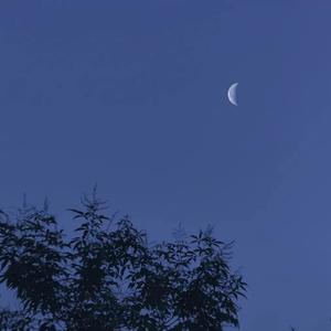 最后一页 (翻自 王泽科)