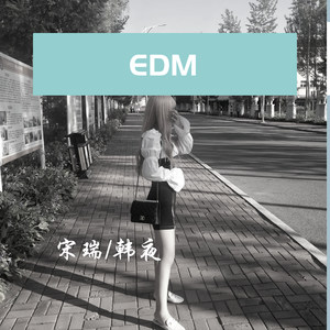 唯美风琴电音 (Perfect Mix)