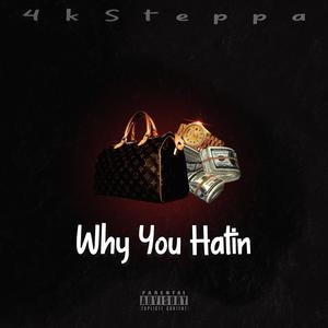 Why You Hatin' (Explicit)