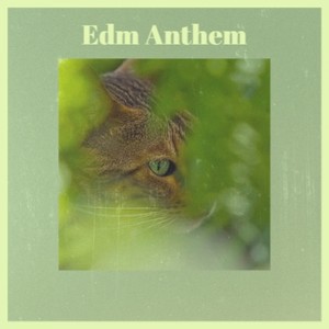 Edm Anthem