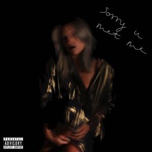 sorry u met me (Explicit)