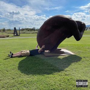 Champagne Dreams(feat. Dem Boys) (Explicit)