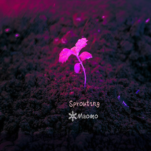 Maomo - Sprouting