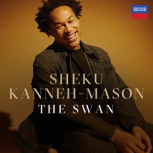 Le carnaval des animaux, R. 125 - Saint-Saëns: Le carnaval des animaux, R. 125: XIII. The Swan (Arr. Hodge for Cello, Harp and Ensemble)