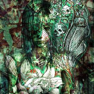 feel again (Explicit)