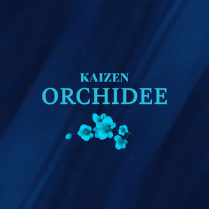 Orchidee