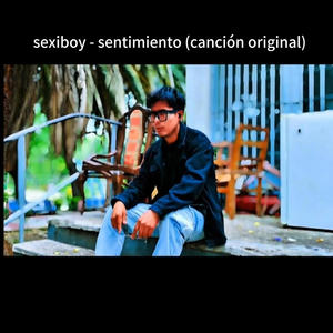Sexiboy sentimiento cancion original (Explicit)