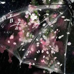 暗香 (深情女生版)封面