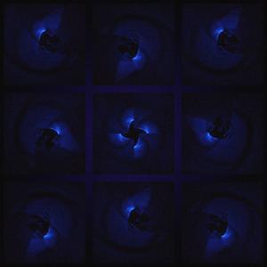 Dans la WoW (feat. Ajaj, Elias Jabbari, Auralise & Baelo)