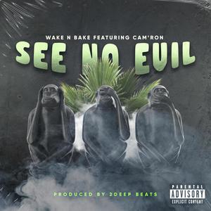 See No Evil (feat. Cam'ron) [Explicit]