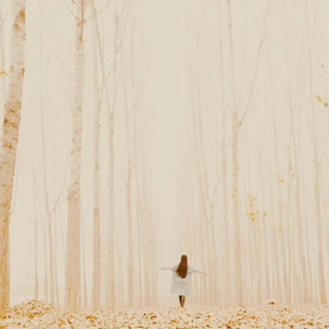 Wonderland under the rainbow