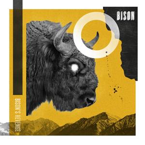 Bison's Revenge (Explicit)