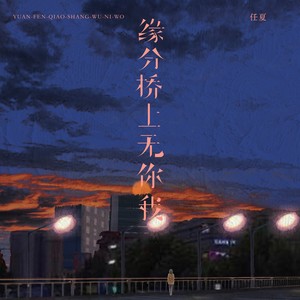 缘分桥上无你我