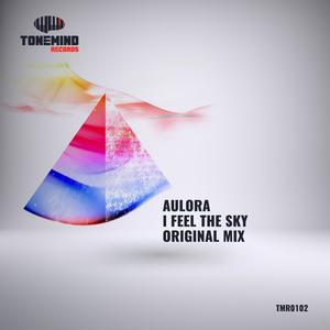 I Feel The Sky (Radio Mix)