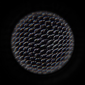 蟒 (Python)