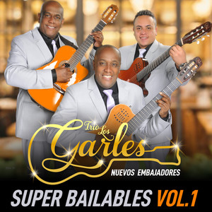 Super Bailables, Vol. 1