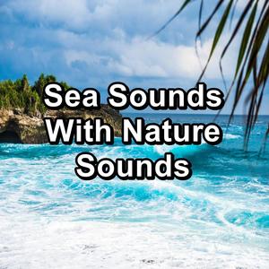 Sea Sounds With Nature Sounds