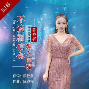 不该相信你骗人的嘴 (DJ版)