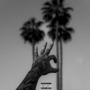 TNF Westcoast (feat. Dirty Walk, MPadrums & Cuki Music) (Explicit)