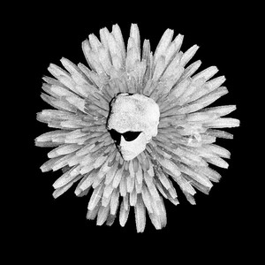 ocsmány hazugság (Explicit)